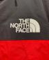 THE NORTH FACEの古着・服飾アイテム：30000円