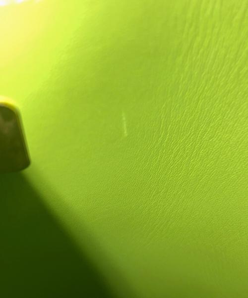 LOEWE（ロエベ）LOEWE (ロエベ) ショルダーポーチ グリーンの古着・服飾アイテム