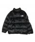 THE NORTH FACE (ザ ノース フェイス) SUPREME (シュプリーム) フォークス ファー ヌプシ ジャケット 