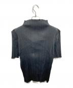 PLEATS PLEASEプリーツプリーズ）の古着「プリーツ半袖カットソー」｜ブラック