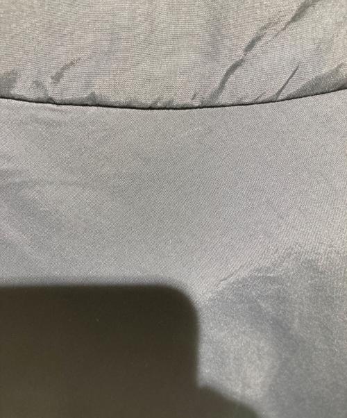 THE NORTH FACE（ザ ノース フェイス）THE NORTH FACE (ザ ノース フェイス) Mountain Versa Micro Jacket ブルー サイズ:Lの古着・服飾アイテム