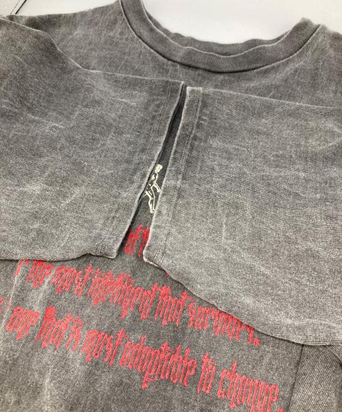 CVTVLIST（カタリスト）CVTVLIST (カタリスト) EVOLUTION TEE エボリューション半袖Tシャツ グレー サイズ:1の古着・服飾アイテム