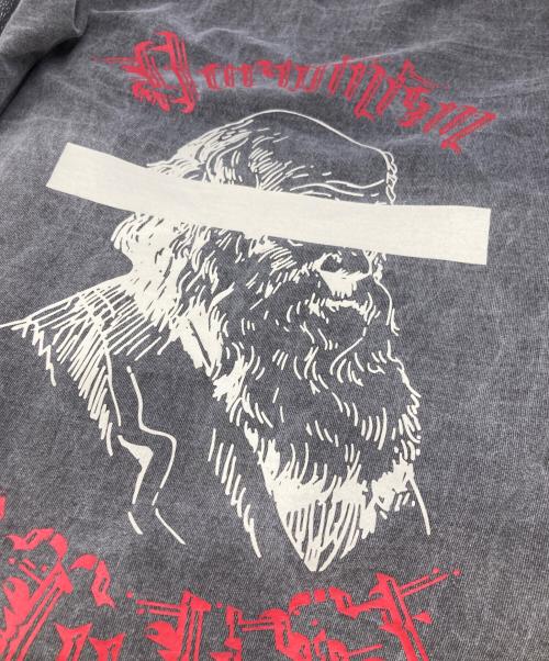 CVTVLIST（カタリスト）CVTVLIST (カタリスト) EVOLUTION TEE エボリューション半袖Tシャツ グレー サイズ:1の古着・服飾アイテム