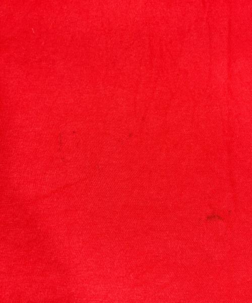 stussy（ステューシー）stussy (ステューシー) ロゴＴシャツ／22SSSoda Tee レッド サイズ:Mの古着・服飾アイテム