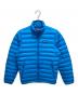 Patagonia（パタゴニア）の古着「M's Down Sweater」｜ブルー