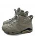 NIKE (ナイキ) Air Jordan 6 