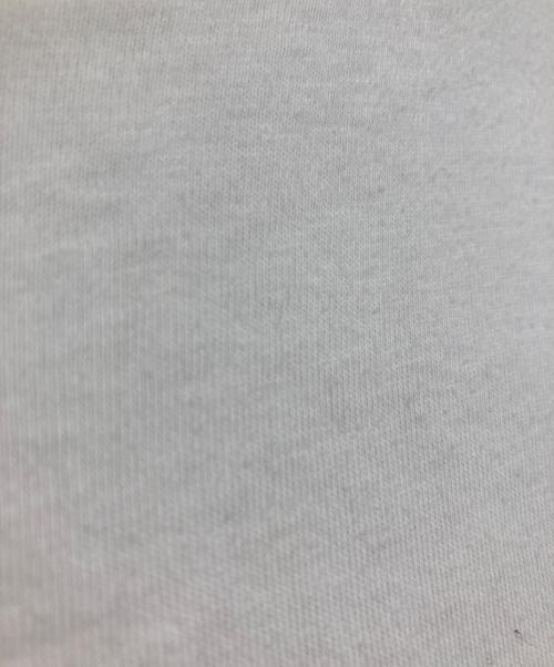 POLO RALPH LAUREN（ポロ・ラルフローレン）POLO RALPH LAUREN (ポロ・ラルフローレン) フィッシングプリントTシャツ ホワイト サイズ:Ｓの古着・服飾アイテム