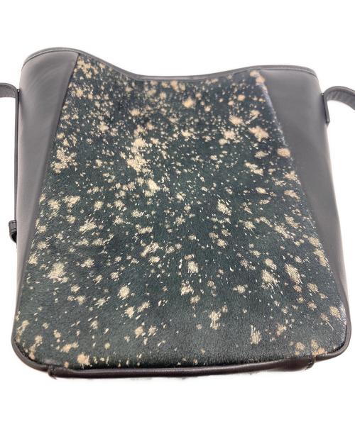 ear PAPILLONNER（イアパピヨネ）ear PAPILLONNER (イアパピヨネ) カウファーショルダーバッグ ブラックの古着・服飾アイテム