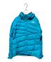THE NORTH FACE（ザ ノース フェイス）の古着「スキーダウンジャケット」｜ブルー