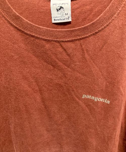 Patagonia（パタゴニア）Patagonia (パタゴニア) 90's プリントTシャツ ブラウン サイズ:Mの古着・服飾アイテム