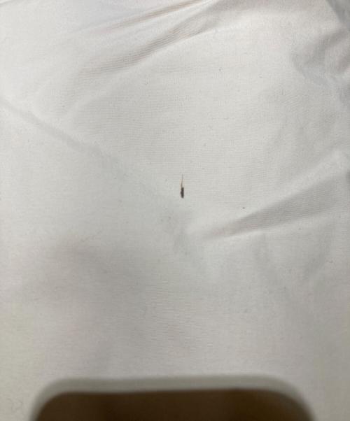 adidas（アディダス）adidas (アディダス) 00s ジップアップジャケット ベージュ サイズ:XXOの古着・服飾アイテム