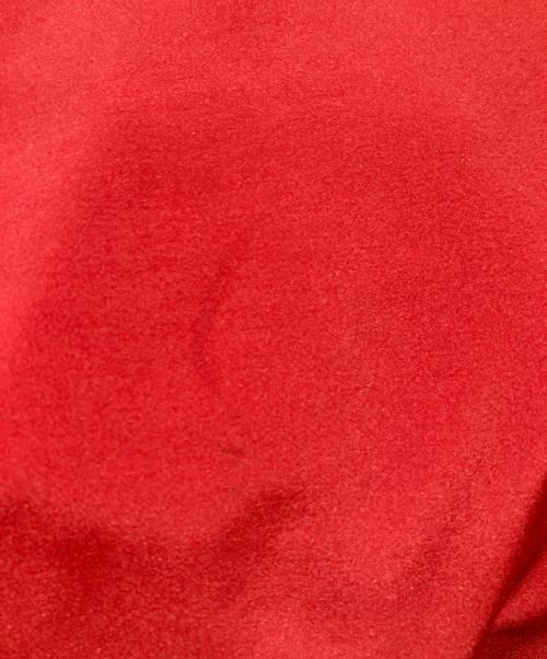 THE NORTH FACE（ザ ノース フェイス）THE NORTH FACE (ザ ノース フェイス) マウンテンパーカー レッド サイズ:Ｌの古着・服飾アイテム