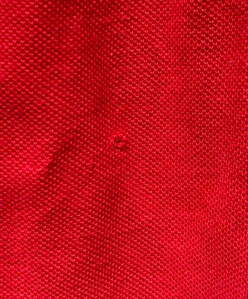 Christian Dior（クリスチャン ディオール）Christian Dior (クリスチャン ディオール) ポロシャツ レッド サイズ:FREEの古着・服飾アイテム