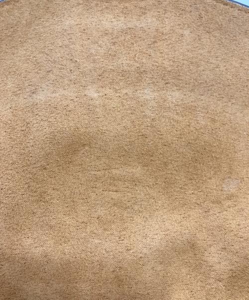 COACH（コーチ）COACH (コーチ) ショルダーバッグ アイボリーの古着・服飾アイテム