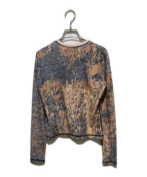DIESEL（ディーゼル）DIESEL (ディーゼル) T-CUTIE-LS damski/カットソー グレー サイズ:L 未使用品の古着・服飾アイテム