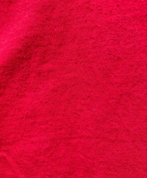 stussy（ステューシー）stussy (ステューシー) スカルプリントtシャツ レッド サイズ:Mの古着・服飾アイテム