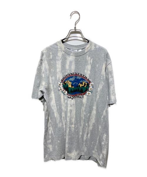 GRAMICCI（グラミチ）GRAMICCI (グラミチ) thisisneverthat (ディスイズネバーザット) プリントTシャツ グレー サイズ:Mの古着・服飾アイテム
