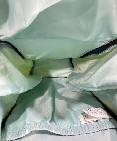 ARC'TERYX（アークテリクス）ARC'TERYX (アークテリクス) Sebring18 /バックパック 黄緑の古着・服飾アイテム