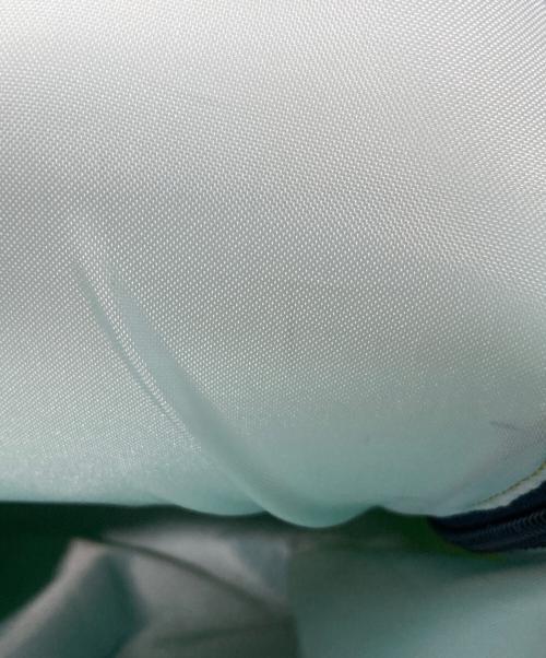 ARC'TERYX（アークテリクス）ARC'TERYX (アークテリクス) Sebring18 /バックパック 黄緑の古着・服飾アイテム