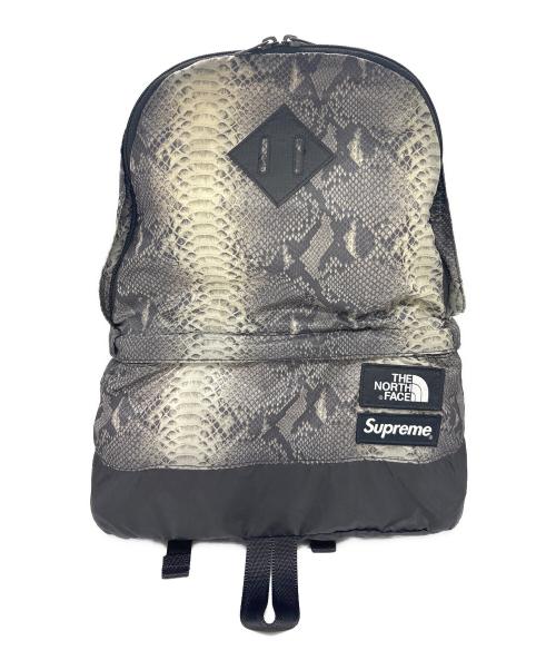 THE NORTH FACE（ザ ノース フェイス）THE NORTH FACE (ザ ノース フェイス) SUPREME (シュプリーム) スネークスキン ライトウェイトデイパックの古着・服飾アイテム