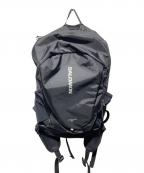 SALOMONサロモン）の古着「TRAILBLAZER 20」