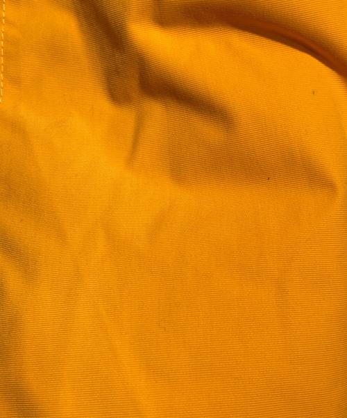 BEN DAVIS（ベンデイビス）BEN DAVIS (ベンデイビス) 3WAY MOUNTAIN PARKA イエロー×ブラック サイズ:Ｌの古着・服飾アイテム