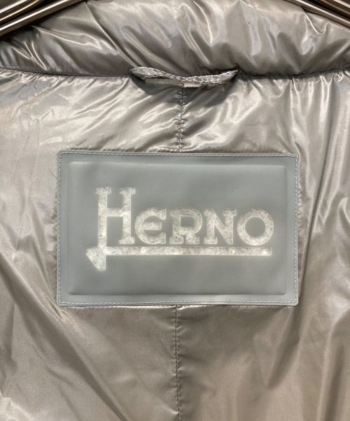 HERNO（ヘルノ）HERNO (ヘルノ) ダウンコート グレー サイズ:44の古着・服飾アイテム