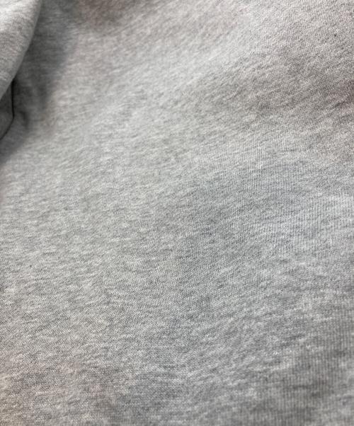 THE NORTH FACE（ザ ノース フェイス）THE NORTH FACE (ザ ノース フェイス) リアビューフルジップフーディ ジップパーカー グレー サイズ:SIZE XLの古着・服飾アイテム