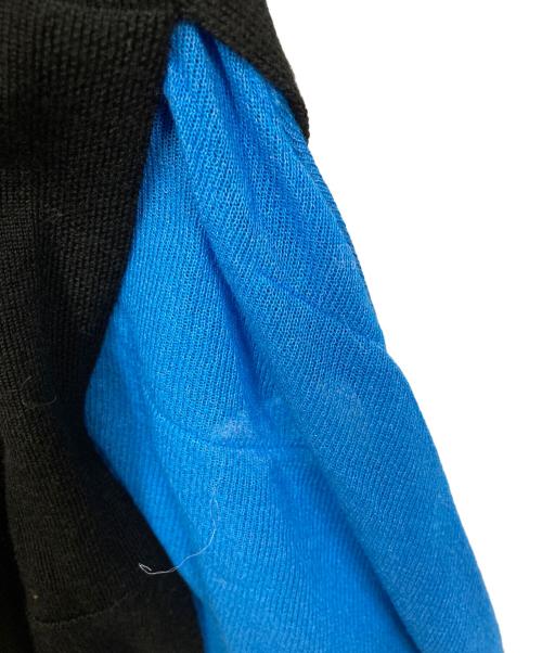 HeRIN.CYE（ヘリンドットサイ）HeRIN.CYE (ヘリンドットサイ) Frill knit cardigan ブラック×ブルー サイズ:FREEの古着・服飾アイテム