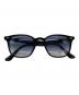RAY-BAN（レイバン）の古着「サングラス」｜ブラック