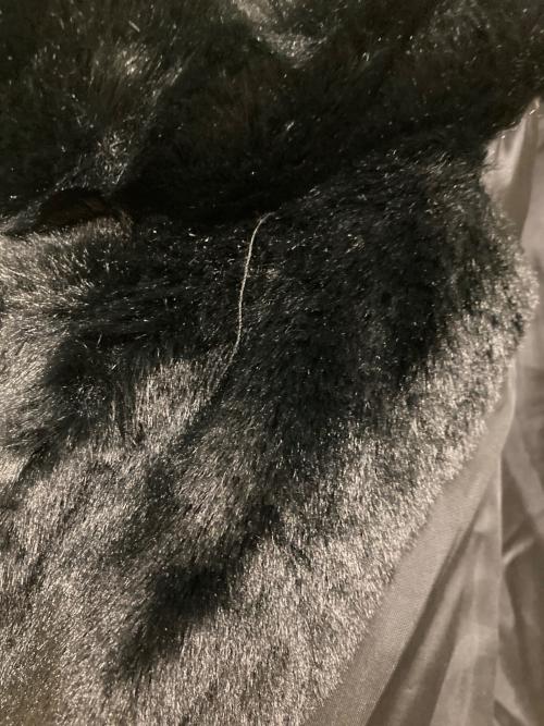 DANKE SCHON（ダンケ シェーン）Danke schon (ダンケ シェーン) ECO FUR COACH JACKET ブラック サイズ:SIZE Lの古着・服飾アイテム