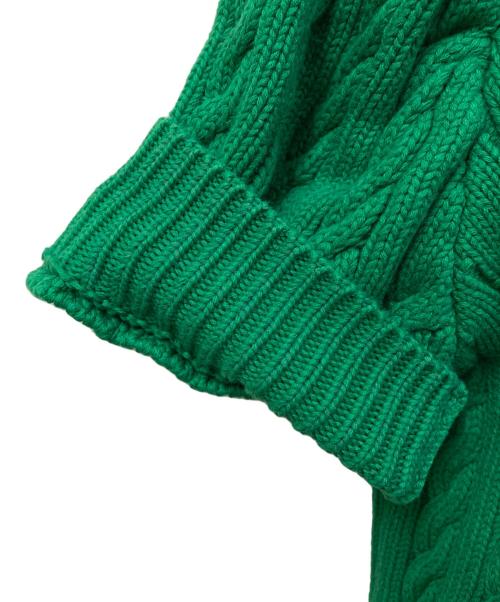 PAMEO POSE（パメオポーズ）PAMEO POSE (パメオポーズ) S/S パフスリーブケーブルニット グリーン サイズ:SIZE Freeの古着・服飾アイテム