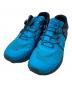 SALOMON（サロモン）の古着「Ultra Pro」｜ブルー