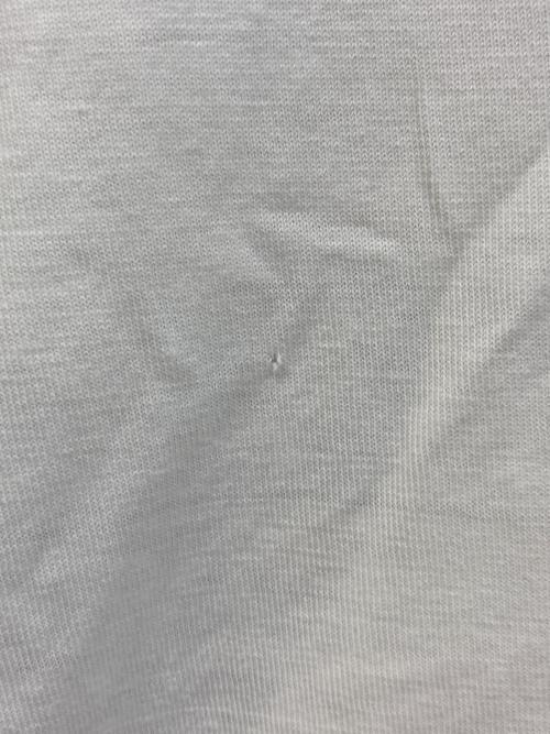 stussy（ステューシー）stussy (ステューシー) プリントTシャツ ホワイト サイズ:Mの古着・服飾アイテム