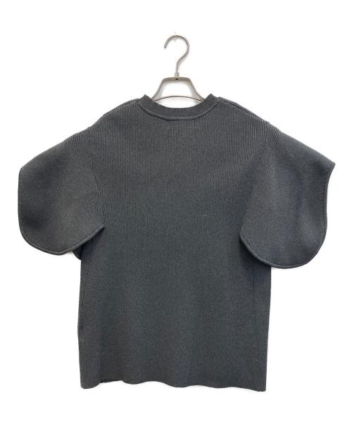 Heve（ヘイヴ）Heve (ヘイヴ) 23SS ペタルニット グレー サイズ:FREEの古着・服飾アイテム