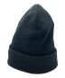 stussy (ステューシー) ニット帽 ブラック：5500円