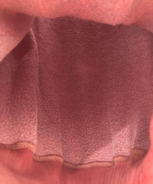 RRL（ダブルアールエル）RRL (ダブルアール) はめ込み両Vスウェット レッド サイズ:Sの古着・服飾アイテム