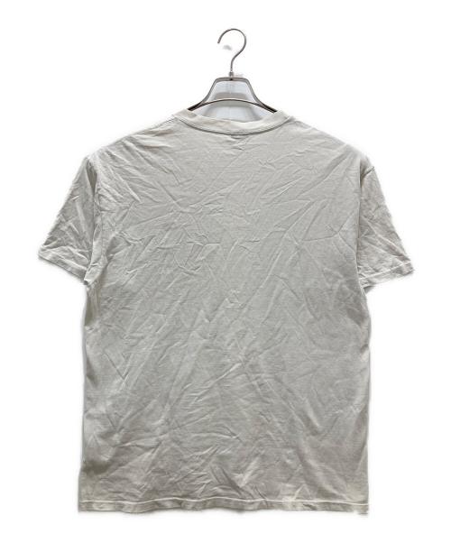 stussy（ステューシー）stussy (ステューシー) ピクセレート フォトグラフTシャツ ホワイト サイズ:Lの古着・服飾アイテム