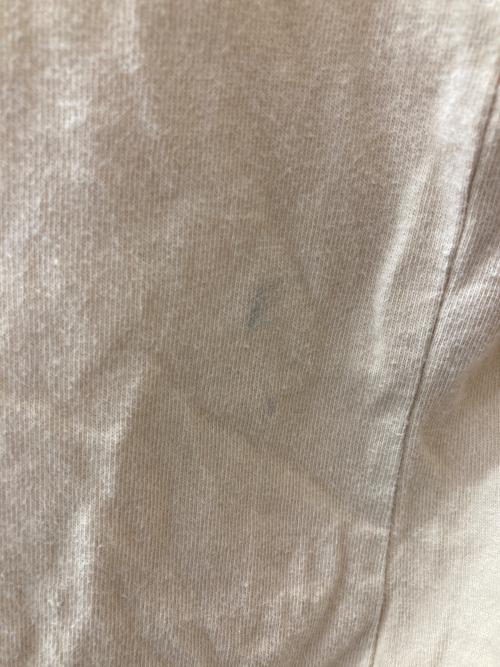 CAPTAINS HELM（キャプテンズヘルム）CAPTAINS HELM (キャプテンズヘルム) プリント袖カットソー ベージュ サイズ:Ⅼの古着・服飾アイテム