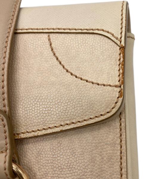 Salvatore Ferragamo（サルヴァトーレ フェラガモ）Salvatore Ferragamo (サルヴァトーレ フェラガモ) ハンドバッグの古着・服飾アイテム