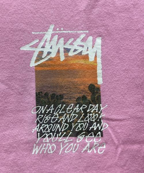 stussy（ステューシー）stussy (ステューシー) カリフォルニア グラフィックClear Day Tee ピンク サイズ:Ⅿの古着・服飾アイテム