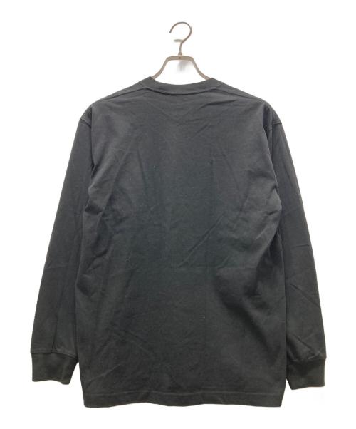 THE NORTH FACE（ザ ノース フェイス）THE NORTH FACE (ザ ノース フェイス) ロングスリーブカットソー ブラック サイズ:Mの古着・服飾アイテム