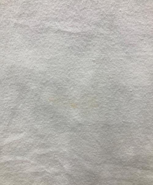 stussy（ステューシー）stussy (ステューシー) LION TRIBE TEE/ロゴプリントTシャツ ホワイト サイズ:Mの古着・服飾アイテム