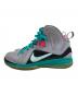 NIKE (ナイキ) LEBRON 9 PS ELITE SOUTH BEACH グレー サイズ:27.5：3000円