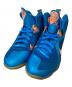 NIKE（ナイキ）の古着「LEBRON 9」｜スカイブルー
