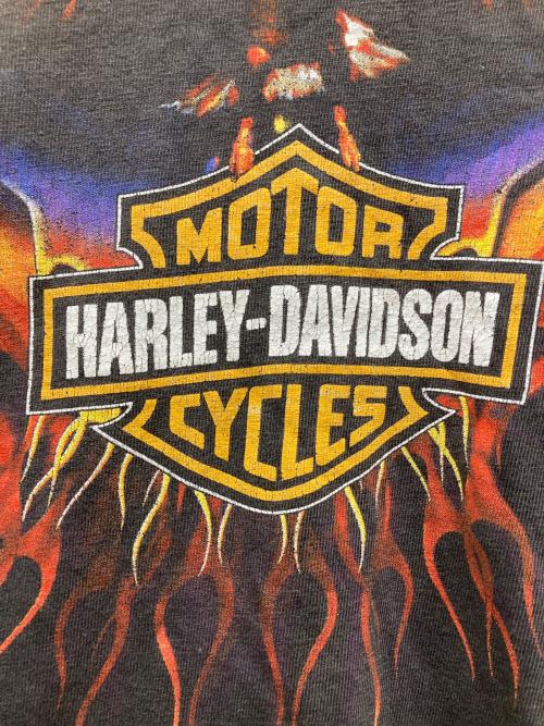 HARLEY-DAVIDSON（ハーレーダビッドソン）HARLEY-DAVIDSON (ハーレーダビッドソン) ロングスリーブカットソー グレー サイズ:Lの古着・服飾アイテム