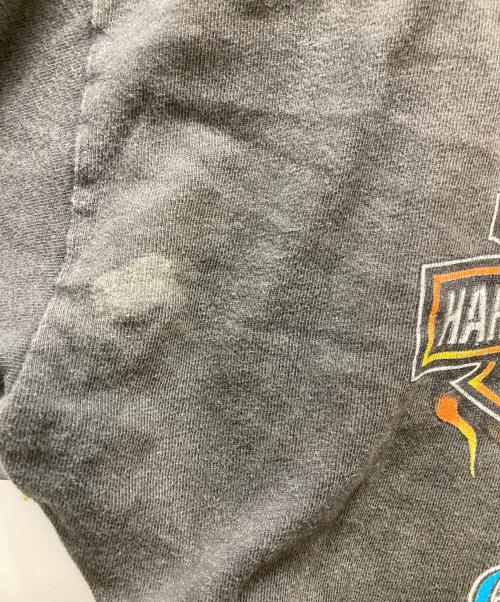 HARLEY-DAVIDSON（ハーレーダビッドソン）HARLEY-DAVIDSON (ハーレーダビッドソン) ロングスリーブカットソー グレー サイズ:Lの古着・服飾アイテム