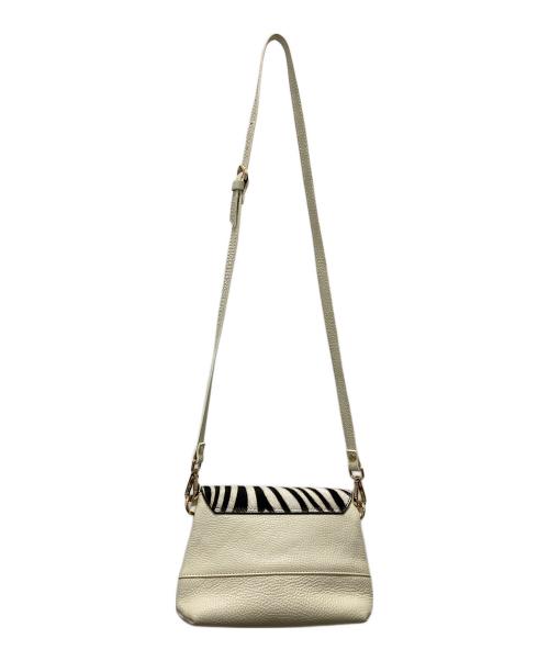 Gianni Notaro（ジャンニ ノターロ）Gianni Notaro (ジャンニ ノターロ) ショルダーバッグ 22の古着・服飾アイテム