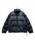 THE NORTH FACE（ザ ノース フェイス）の古着「ダウンジャケット」｜ブラック