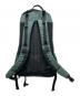 ARC'TERYX (アークテリクス) Arro 22 アロー22/リュック ブラック×グリーン：22000円